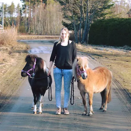 Visit Hautakylae Hautakyla