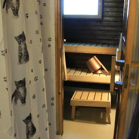 Visit Hautakylae 4* Hautakyla