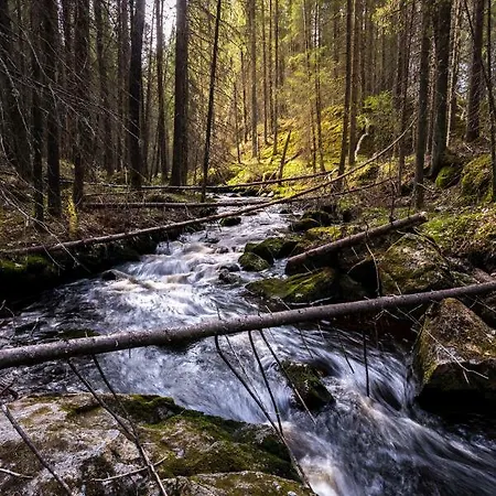 Visit Hautakylae Hautakyla