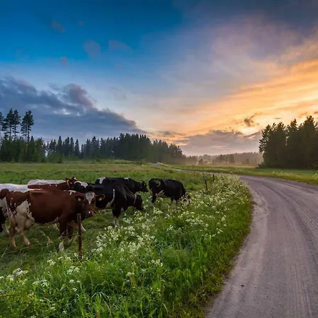 Affittacamere Visit Hautakylae 4*