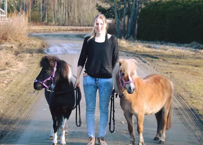 Visit Hautakylae Hautakyla