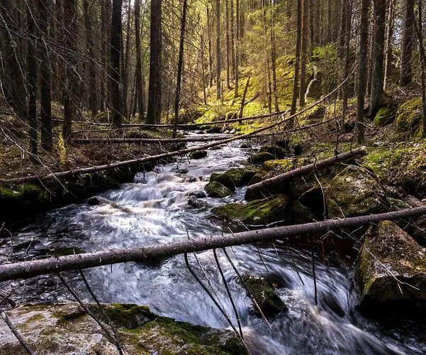 Visit Hautakylae Hautakyla